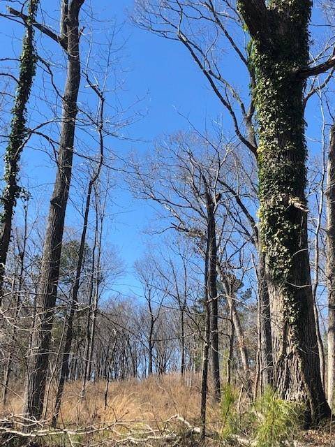 Canton, GA 30114,10 Theodore Cox CIR