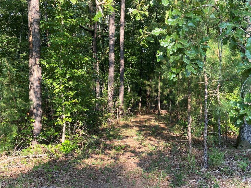 Lincolnton, GA 30817,0000 Outrigger Drive