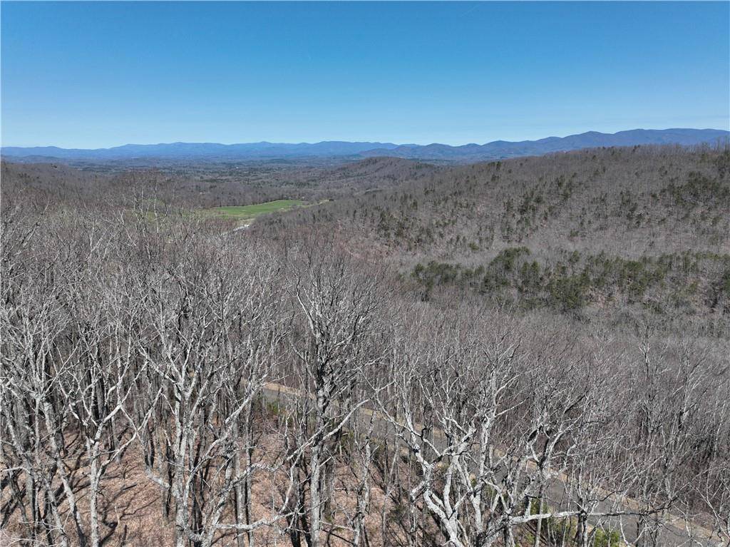 Ellijay, GA 30536,265 Andes RDG