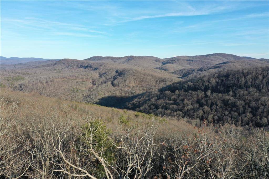 Ellijay, GA 30536,238 Andes RDG