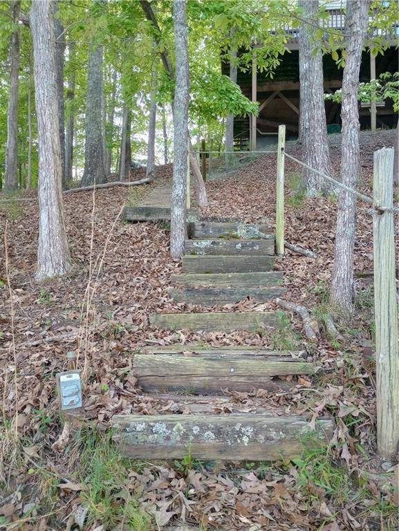 Waleska, GA 30183,113 Beaver CT