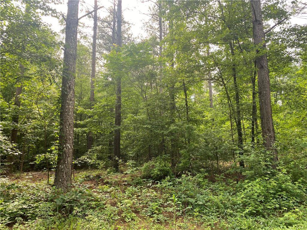 Rydal, GA 30171,Lot 3 Falling Springs Rd.