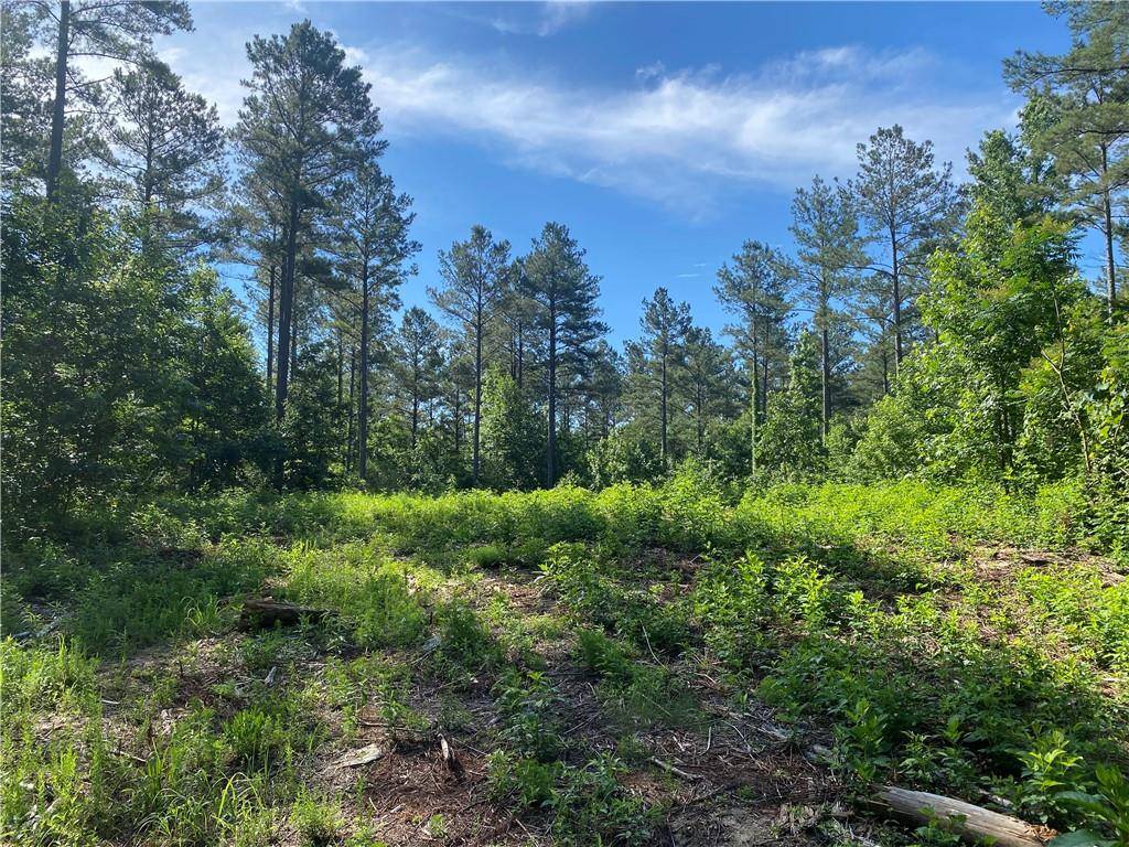 Rydal, GA 30171,Lot 4 Highway 140