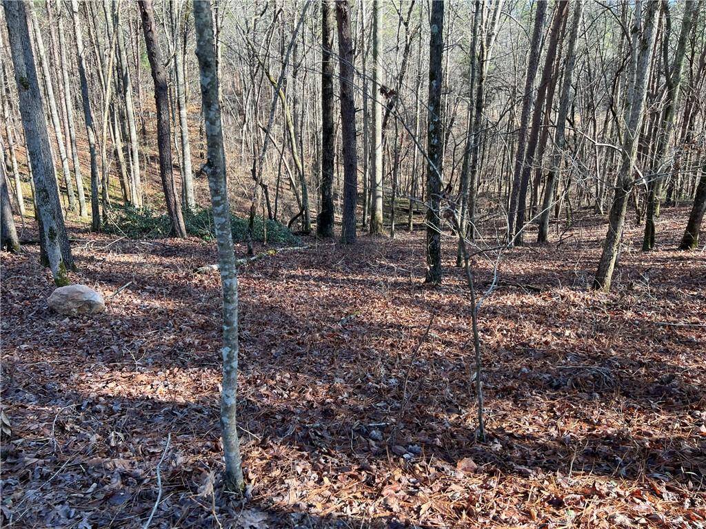 Ball Ground, GA 30107,Lot 7 Mineral Springs RD