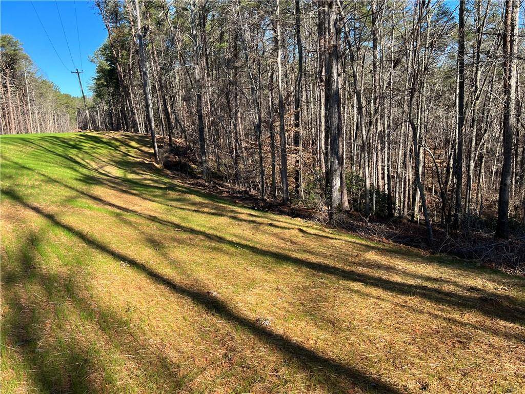 Ball Ground, GA 30107,Lot 7 Mineral Springs RD