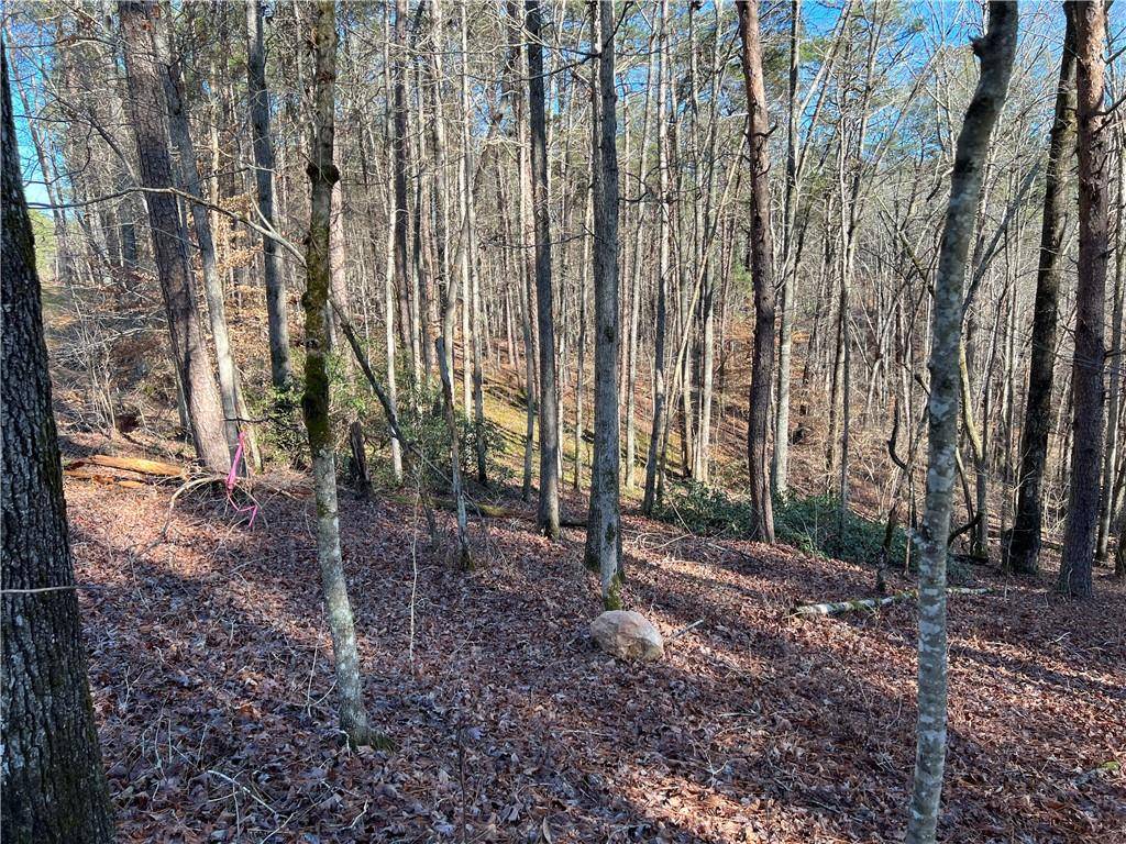 Ball Ground, GA 30107,Lot 7 Mineral Springs RD