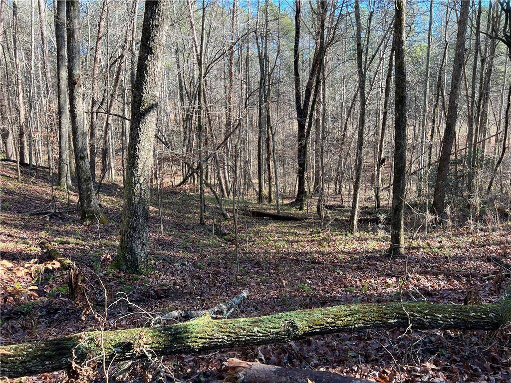 Ball Ground, GA 30107,Lot 7 Mineral Springs RD