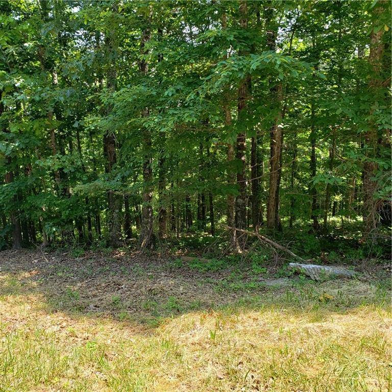 Ranger, GA 30734,1296 Buck CT