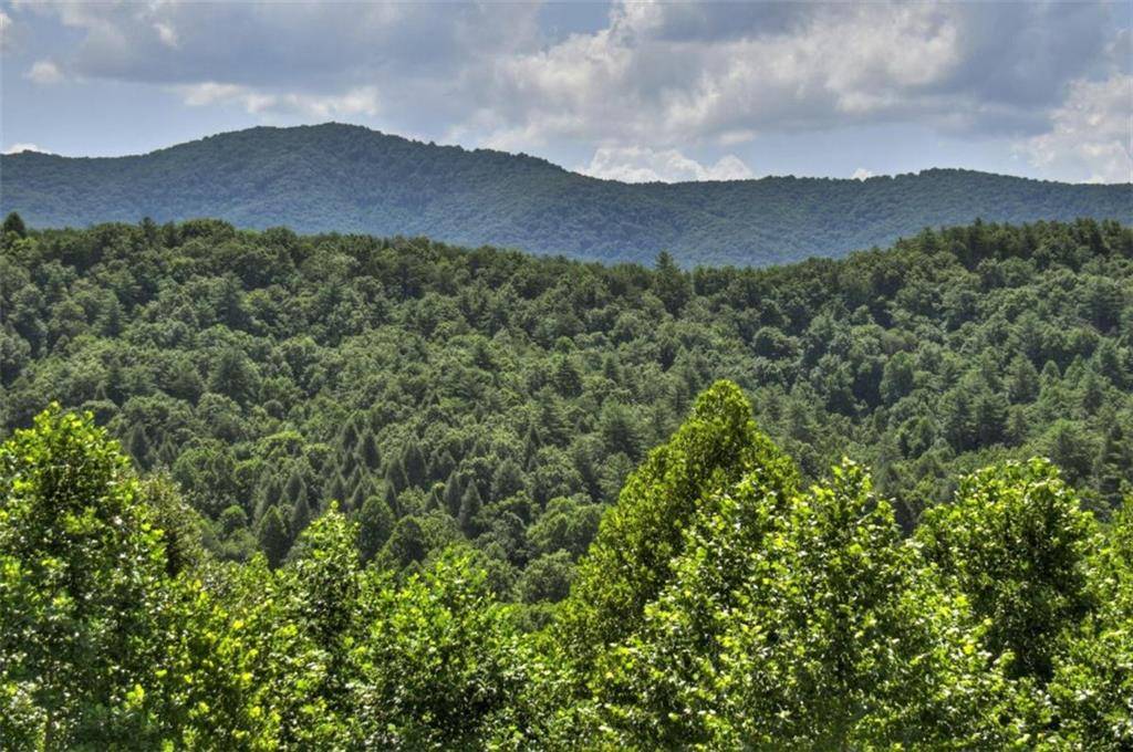 Ellijay, GA 30540,447 Antler Ridge RD