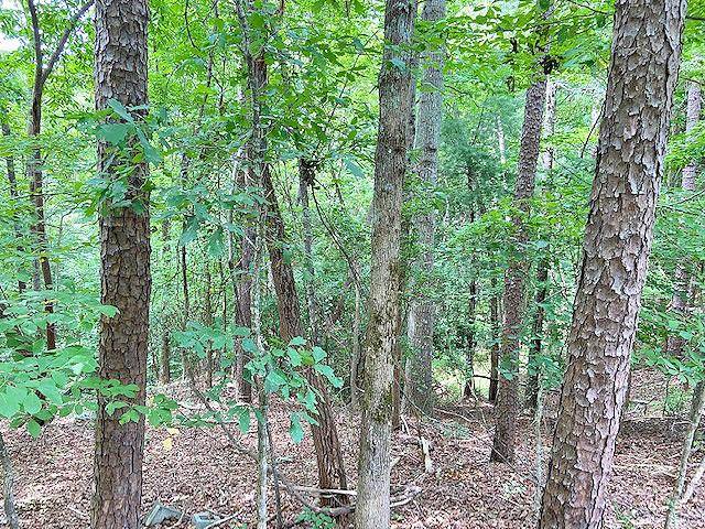 Dahlonega, GA 30533,0 Calhoun (Lot 22) RD