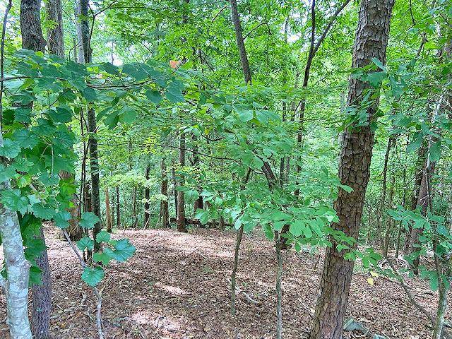 Dahlonega, GA 30533,0 Calhoun (Lot 22) RD