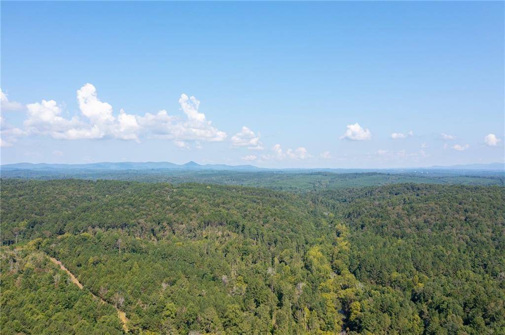 Ball Ground, GA 30107,Lot 6 Mineral Springs RD