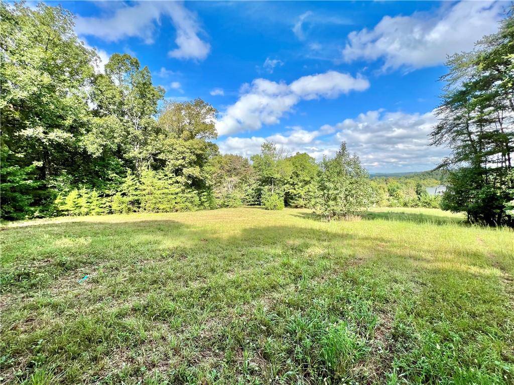 Adairsville, GA 30103,00 Aspen WAY