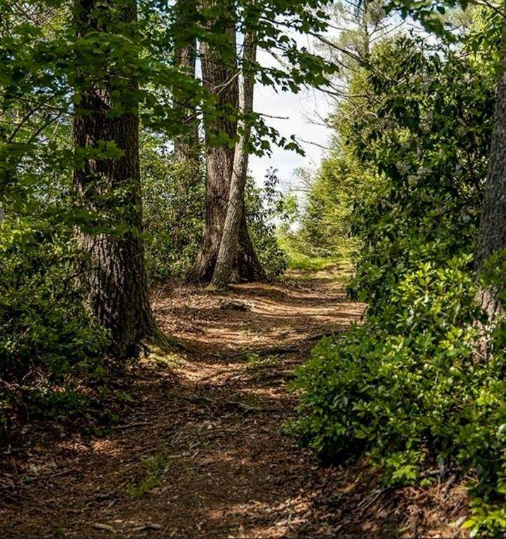 Clarkesville, GA 30523,#14 Fenwick Woods