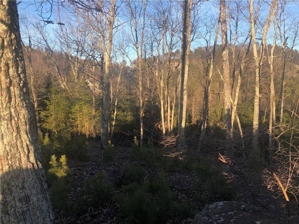 Cartersville, GA 30121,21 Signal Mountain Drive DR SE