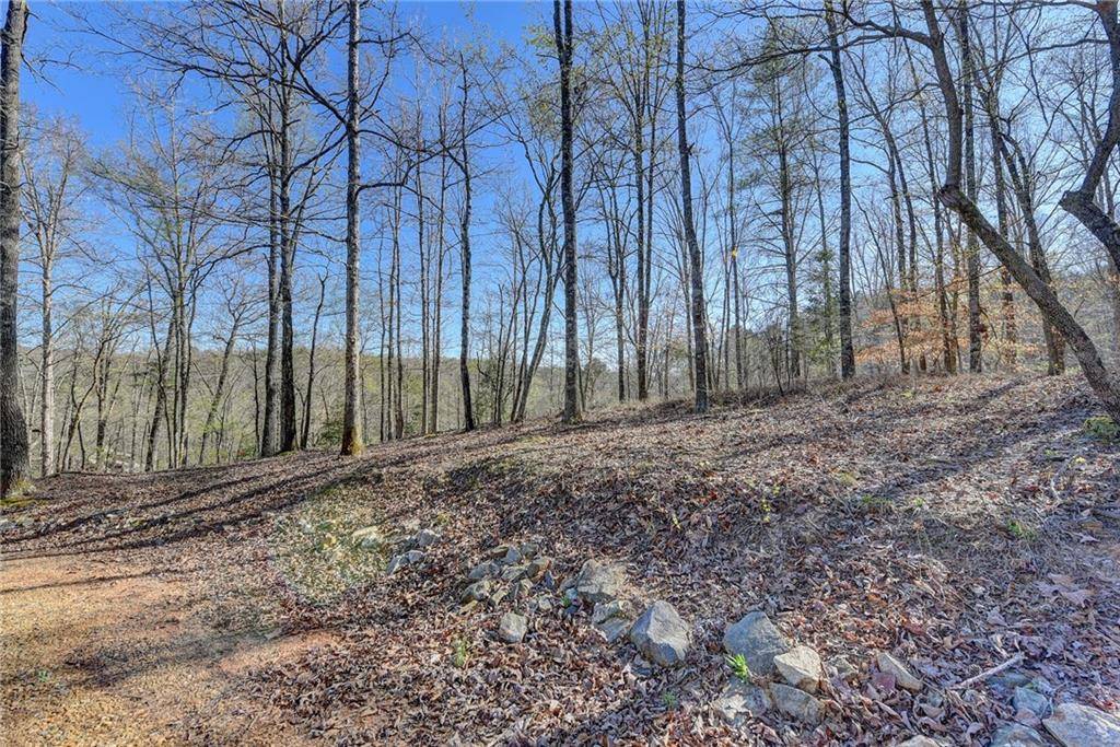 Demorest, GA 30535,0 Peaceful Waters CIR