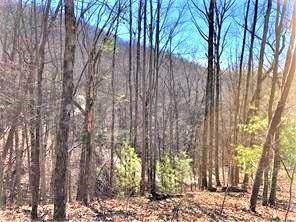 Ellijay, GA 30540,308L Brushy Top DR