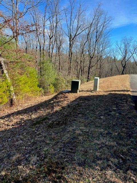 Ellijay, GA 30536,Lot 9 Robert DR