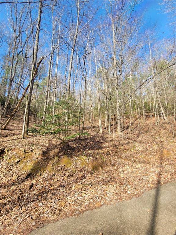 Ellijay, GA 30540,0 Apache Ct Lot 469