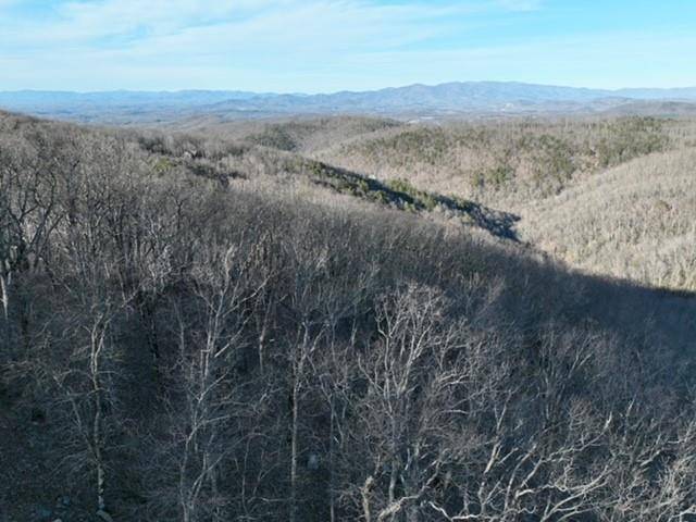 Ellijay, GA 30536,248 Blood Root TRL