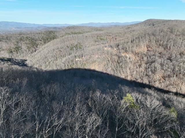 Ellijay, GA 30536,248 Blood Root TRL