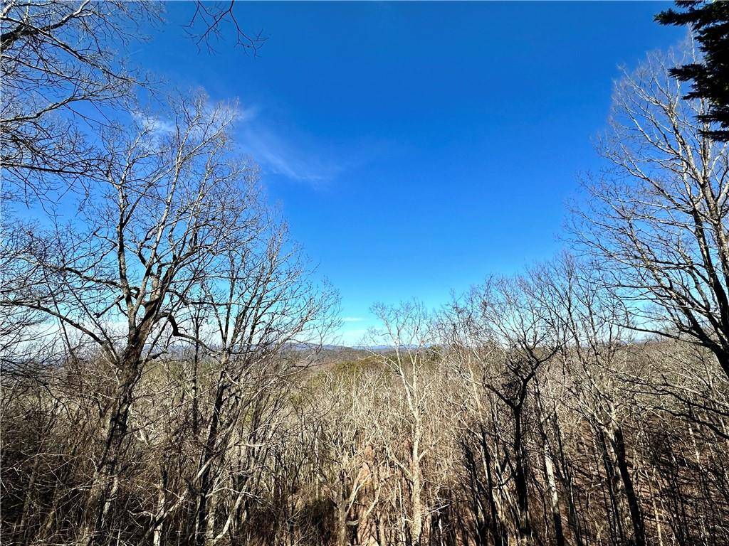 Ranger, GA 30734,381 Meteor CT