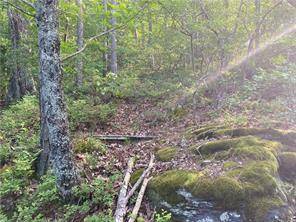 Ranger, GA 30734,626 Ocelot TRL NE