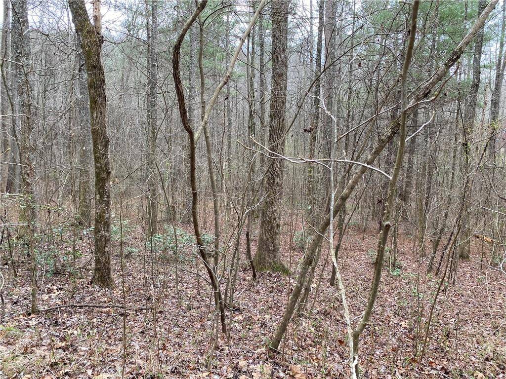 Ellijay, GA 30536,Lot 17 Eastridge LN