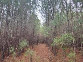 Chickamauga, GA 30707,0 Liberty DR