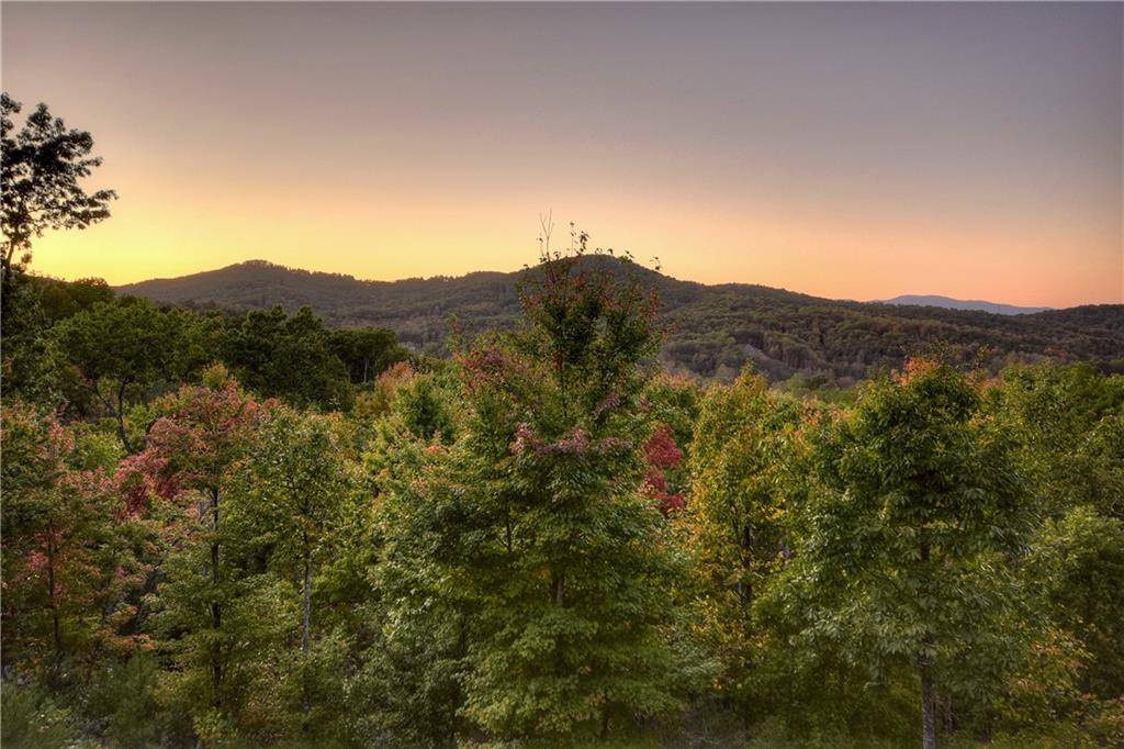 Blue Ridge, GA 30513,80 Green Ridge Overlook MTN