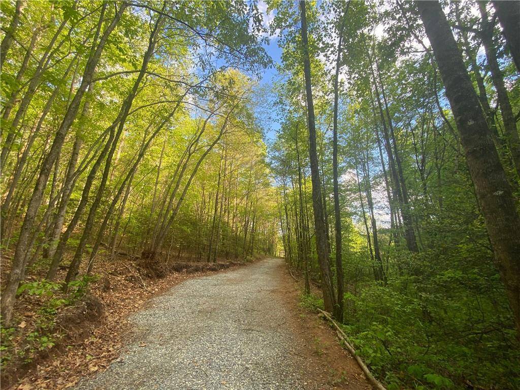 Cleveland, GA 30528,741 Harkins Road Tract