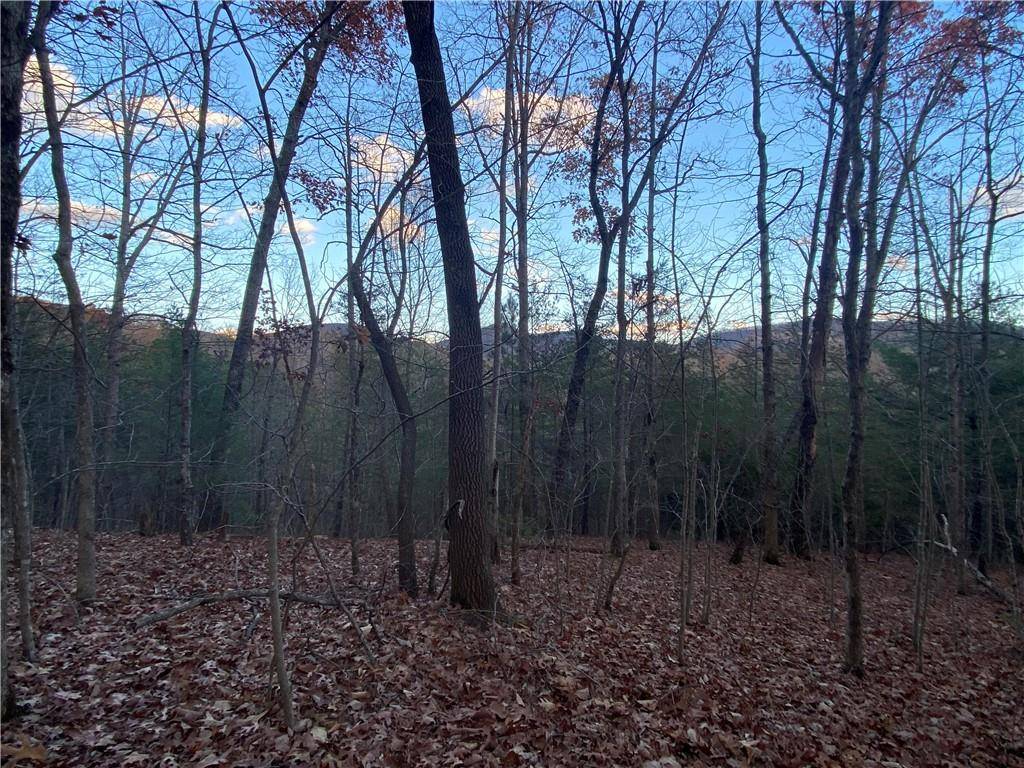 Cleveland, GA 30528,741 Harkins Road Tract