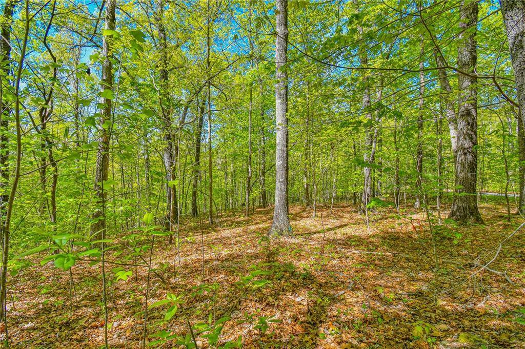 Clayton, GA 30525,0 Forest Canopy WAY