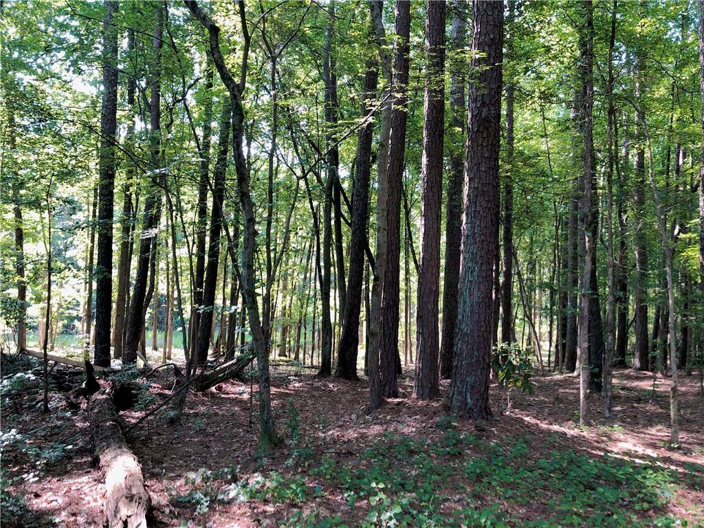 Tyrone, GA 30290,1070 Castle Lake CT
