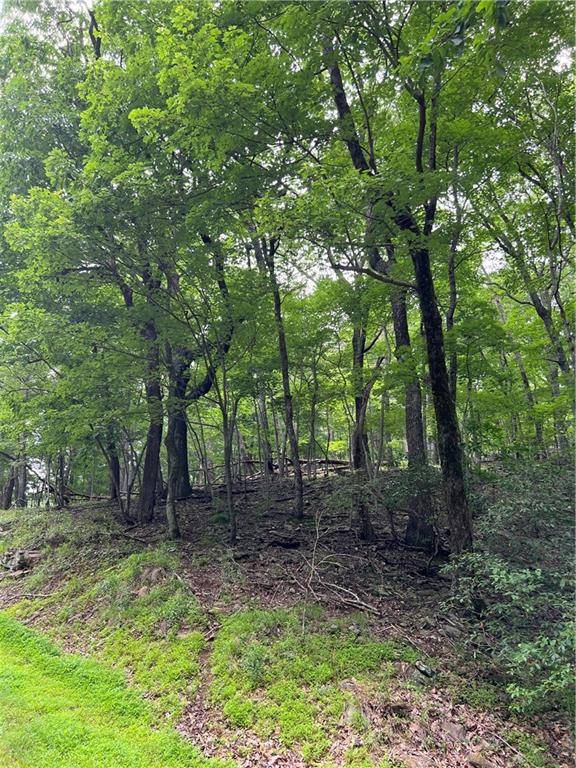 Jasper, GA 30143,1649 Moss Patch TRL