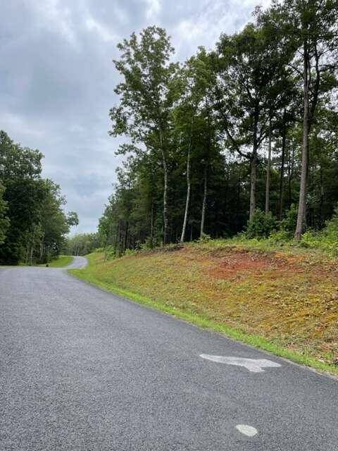 Ellijay, GA 30540,L100 High River RD