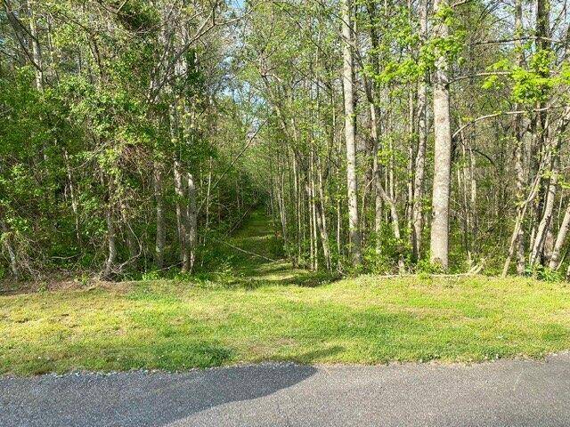 East Ellijay, GA 30540,38+AC Ridgehaven TRL