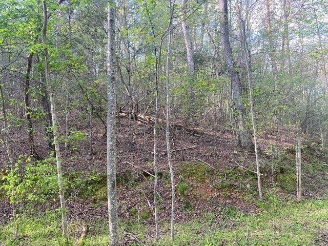 East Ellijay, GA 30540,38+AC Ridgehaven TRL