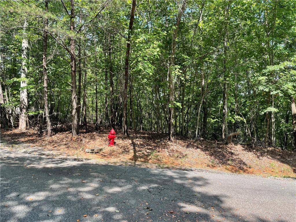 Dahlonega, GA 30533,Lot 11 Timberlane DR
