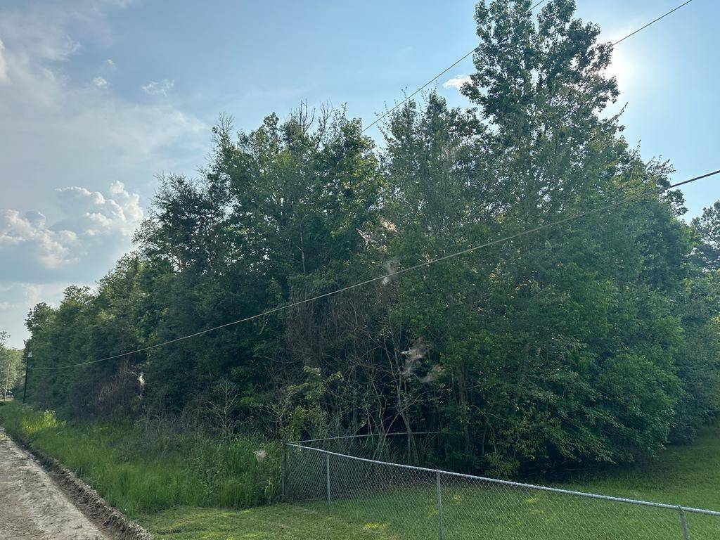 Valdosta, GA 31601,0 Williams LN