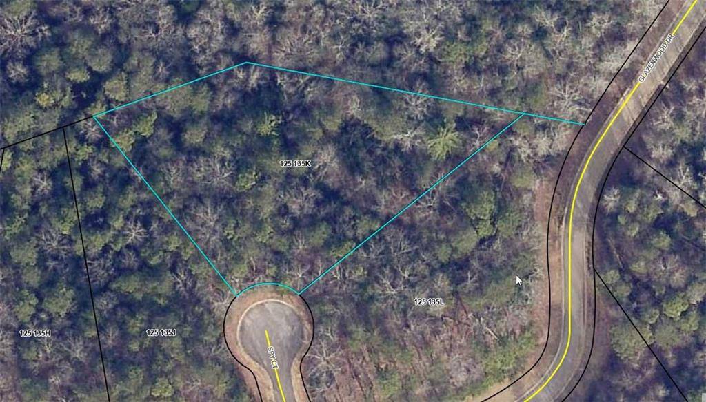 Clarkesville, GA 30523,Lot 38 Spy CT