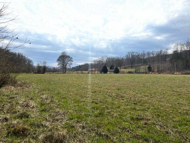 Chickamauga, GA 30707,0 Hog Jowl (18.59 ac) RD