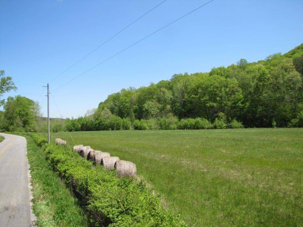 Chickamauga, GA 30707,0 Hog Jowl (18.59 ac) RD