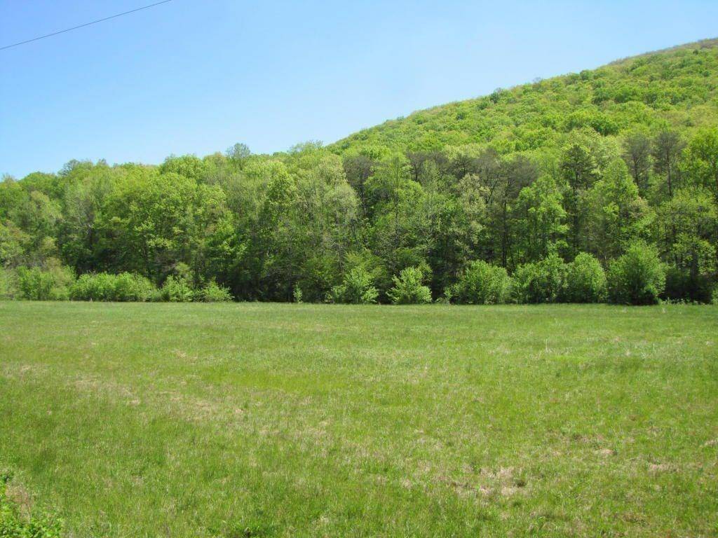 Chickamauga, GA 30707,0 Hog Jowl (18.59 ac) RD