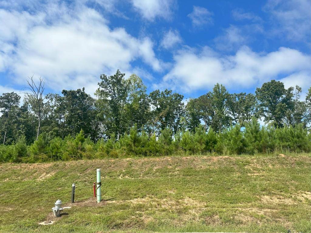Suwanee, GA 30024,710 Woodvale PT