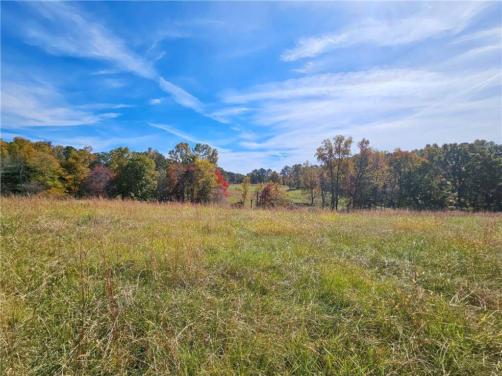 Dawsonville, GA 30534,0 Kelly Bridge Rd Tract 1