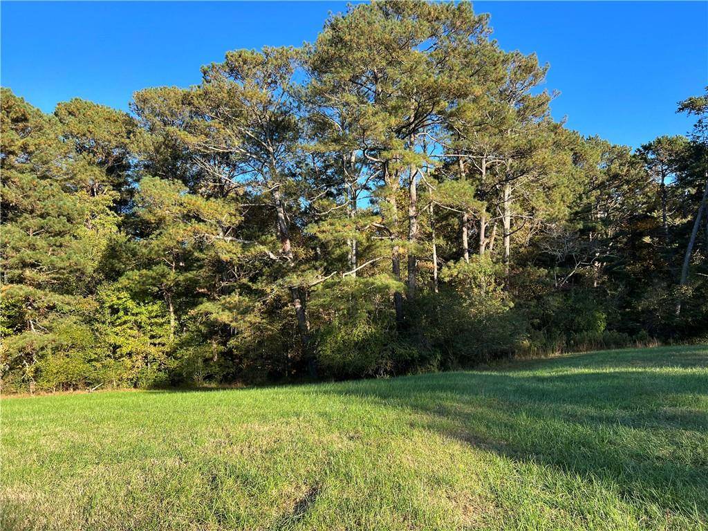 Ball Ground, GA 30107,Lot 2 Long Road