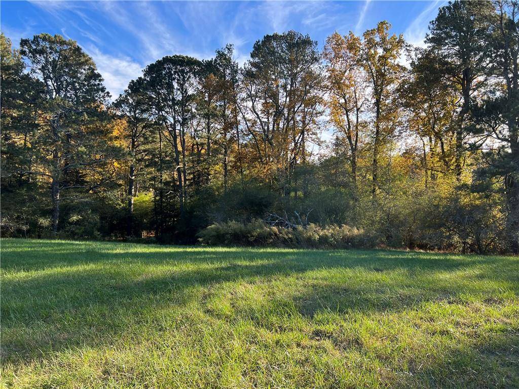 Ball Ground, GA 30107,Lot 2 Long Road