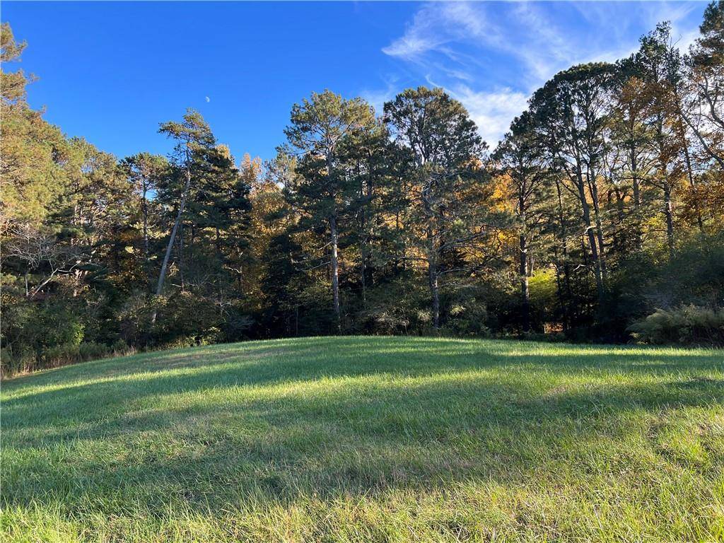 Ball Ground, GA 30107,Lot 2 Long Road