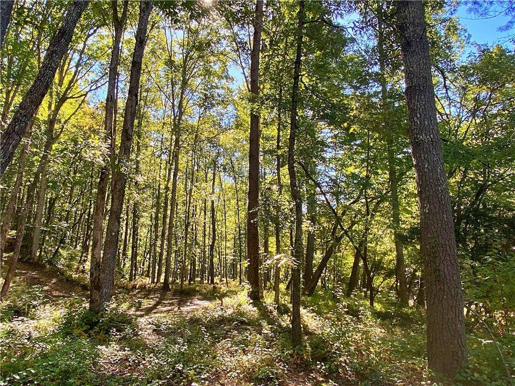 Dahlonega, GA 30533,Lot 7 Etowah River Estates